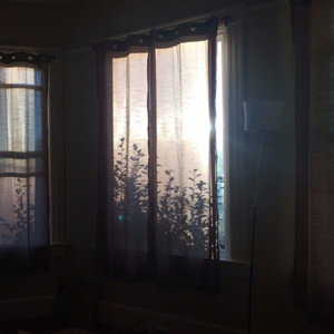 女人和非洲黑人操逼舒服視頻
