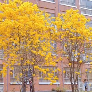 女人和非洲黑人操逼舒服視頻

